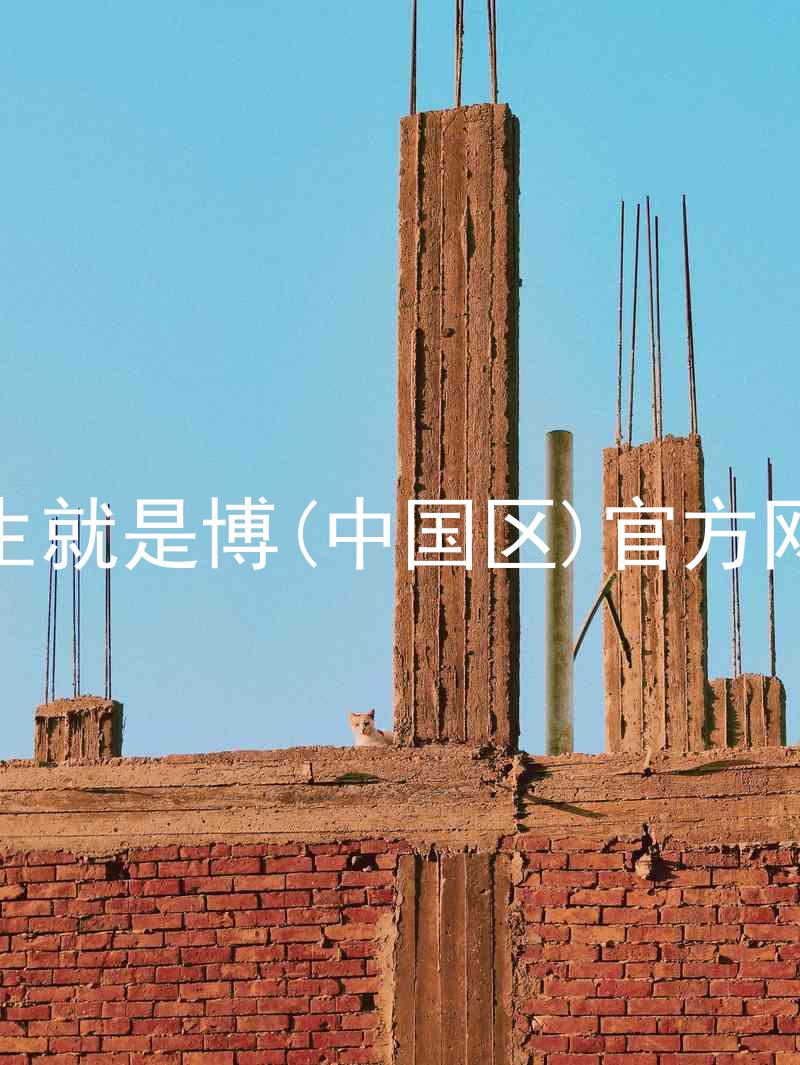 人生就是博(中国区)官方网站