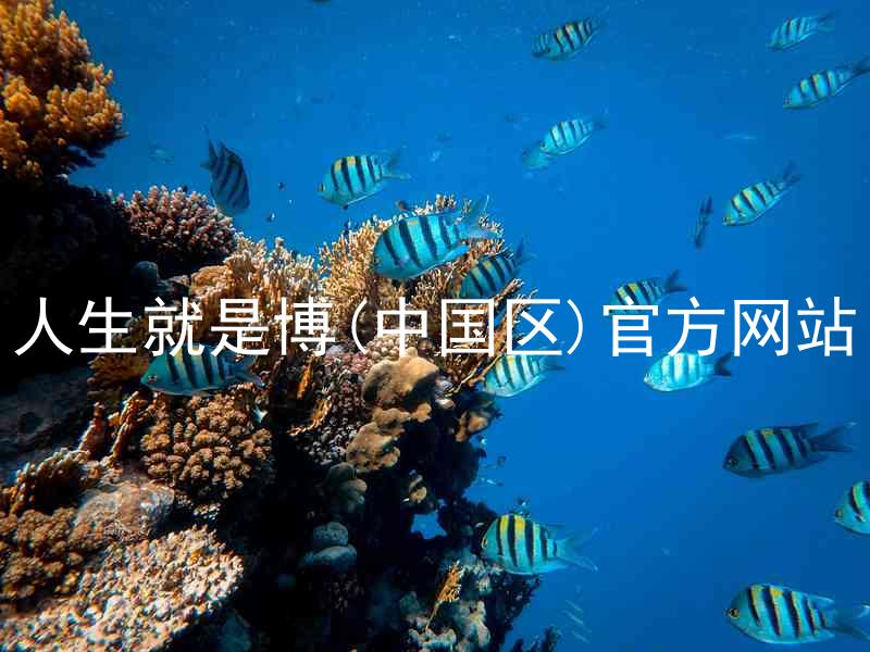 人生就是博(中国区)官方网站